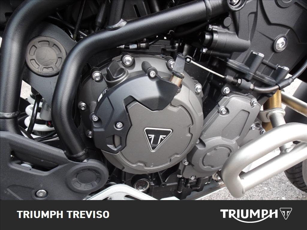 TRIUMPH Tiger 900 Rally Pro Abs
