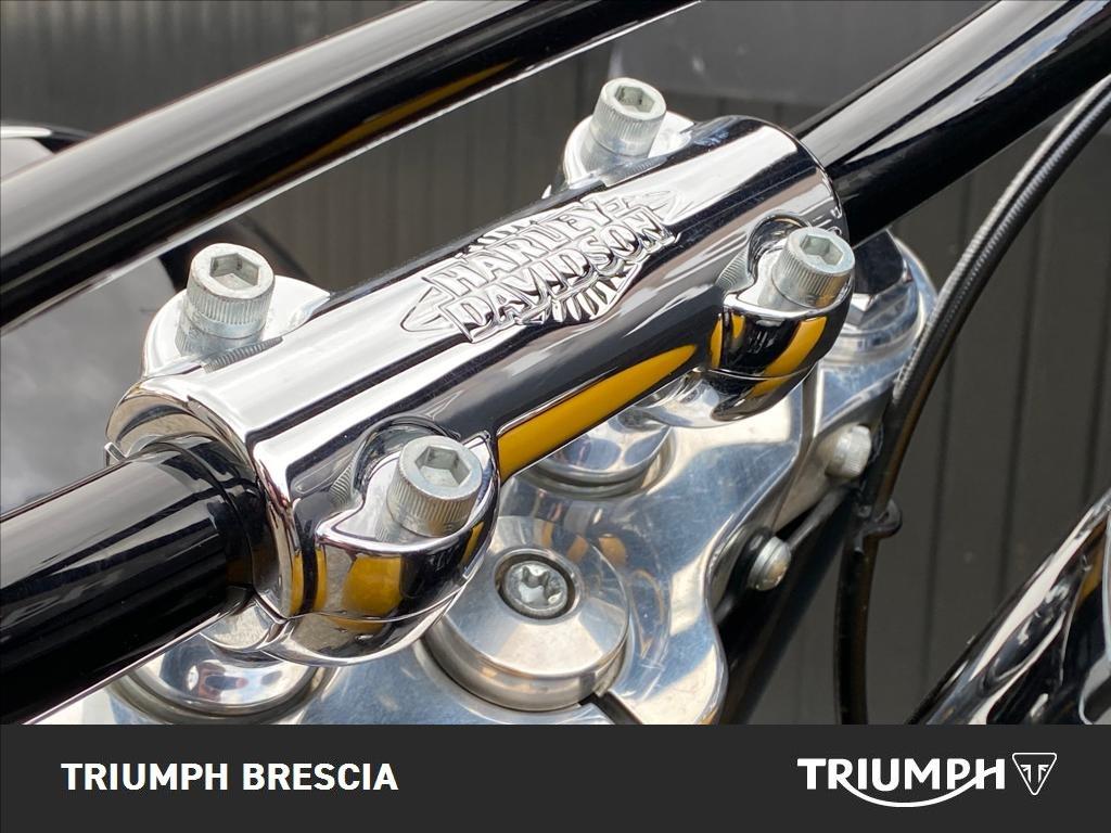 HARLEY DAVIDSON Softail Slim 107 1745 abs