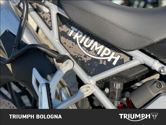 TRIUMPH Tiger 1200 GT Pro Abs
