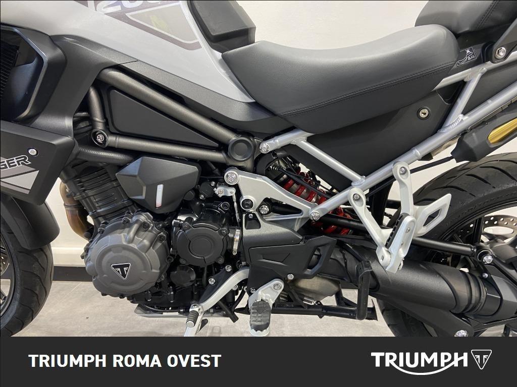 TRIUMPH Tiger 1200 GT Pro Abs