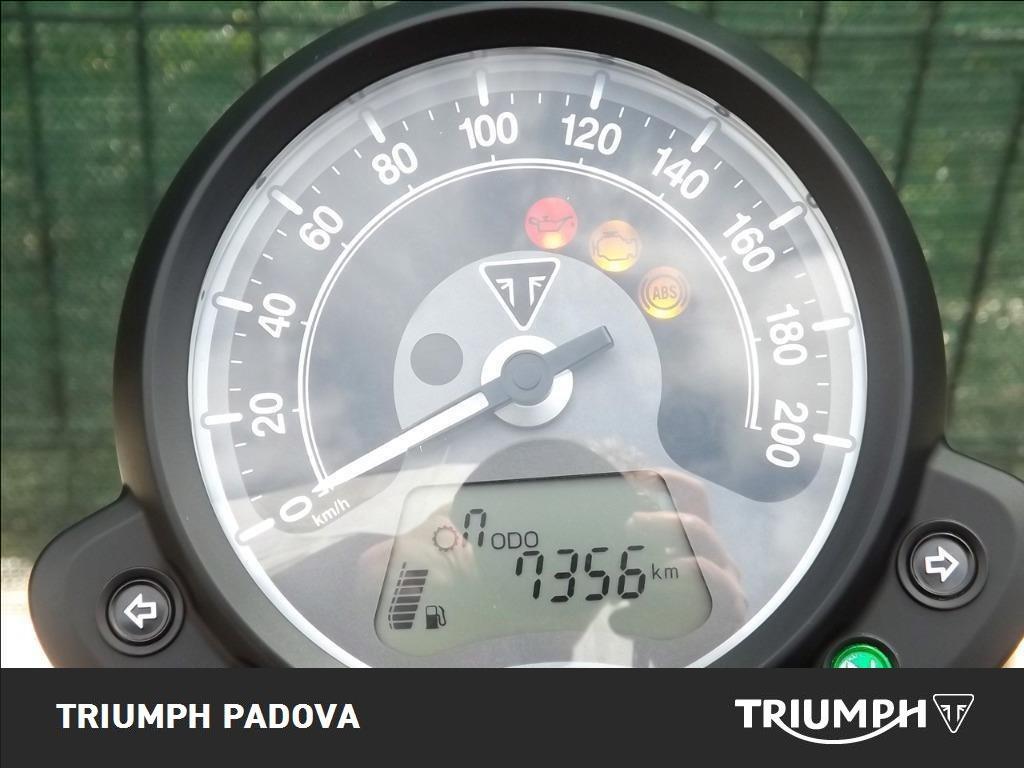 TRIUMPH Street Scrambler 900 