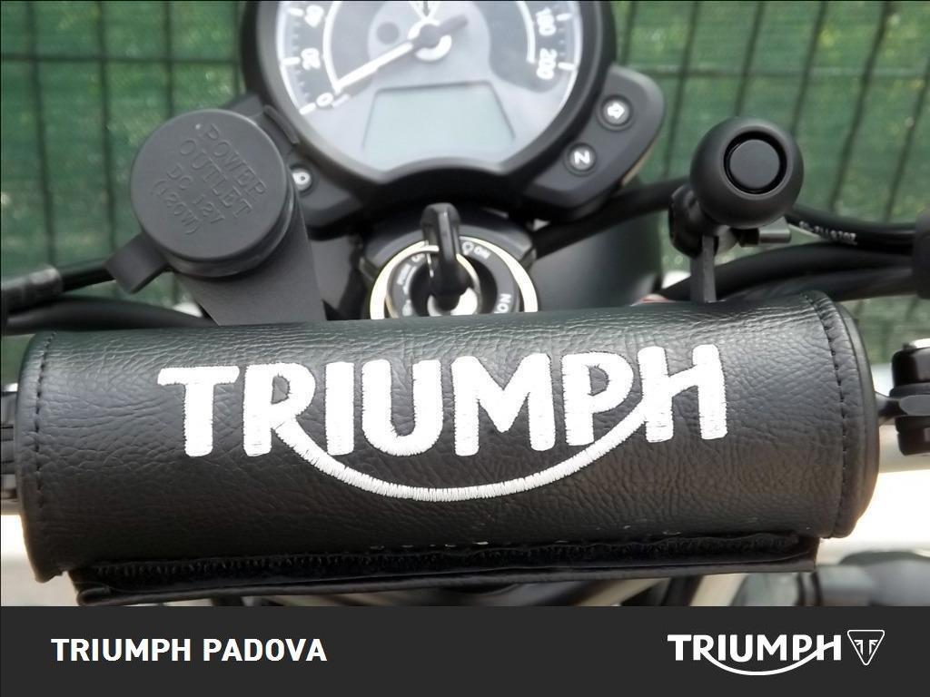 TRIUMPH Street Scrambler 900 