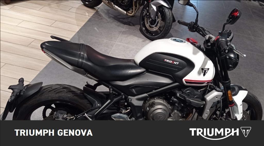 TRIUMPH Trident 660 Abs