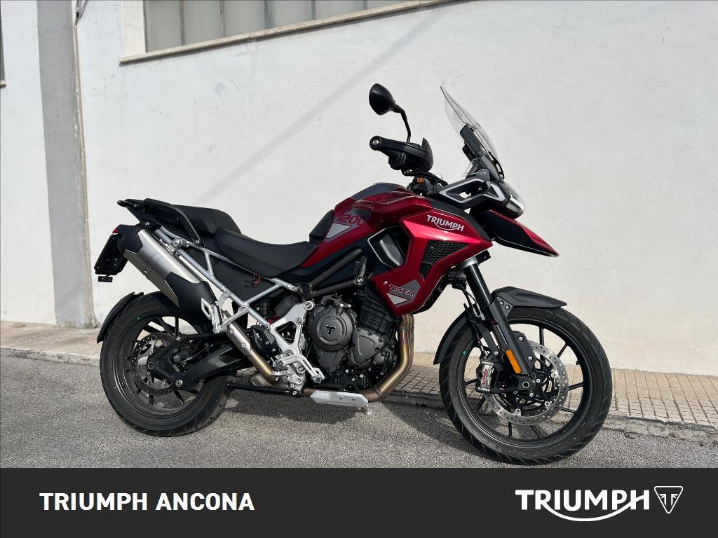 TRIUMPH Tiger 1200 GT Pro Abs