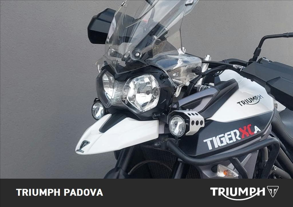 TRIUMPH Tiger 800 XCA  Abs
