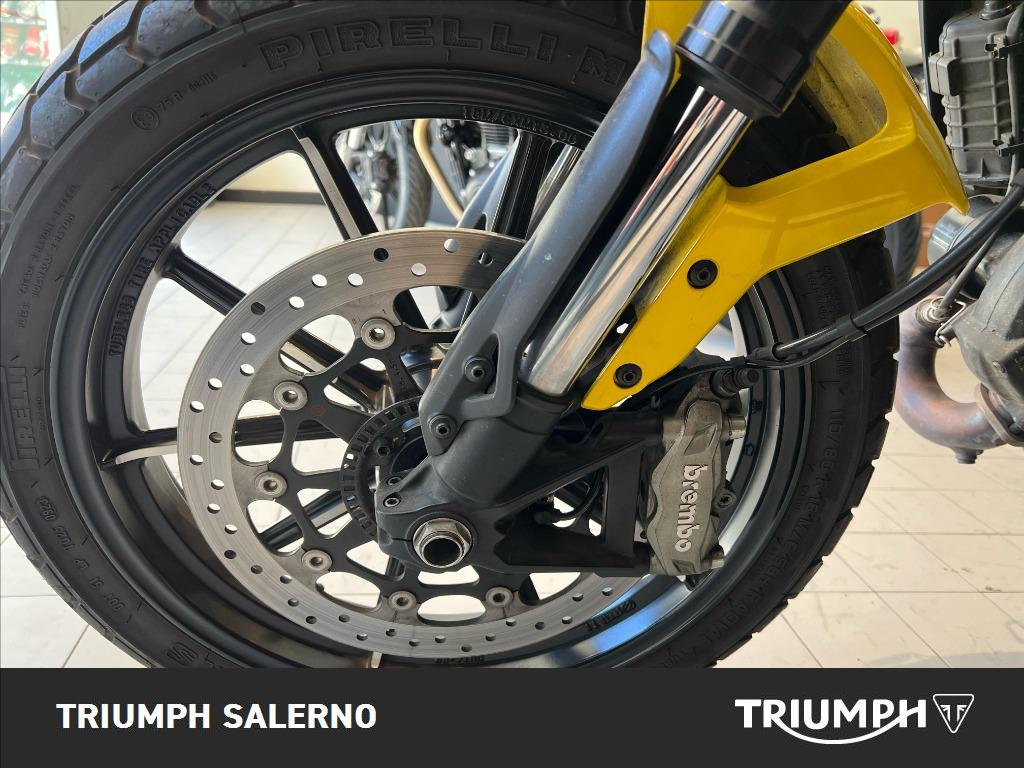 DUCATI Scrambler 800 Icon Yellow