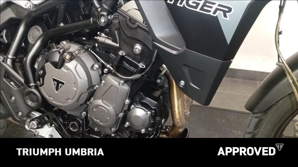 TRIUMPH Tiger 900 GT Abs