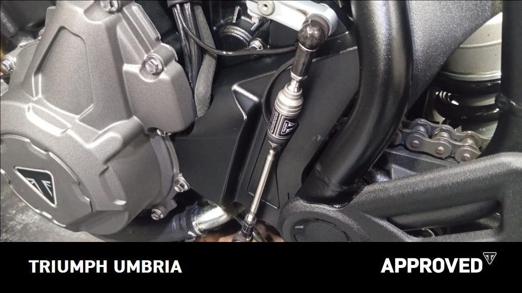 TRIUMPH Tiger 900 GT Abs