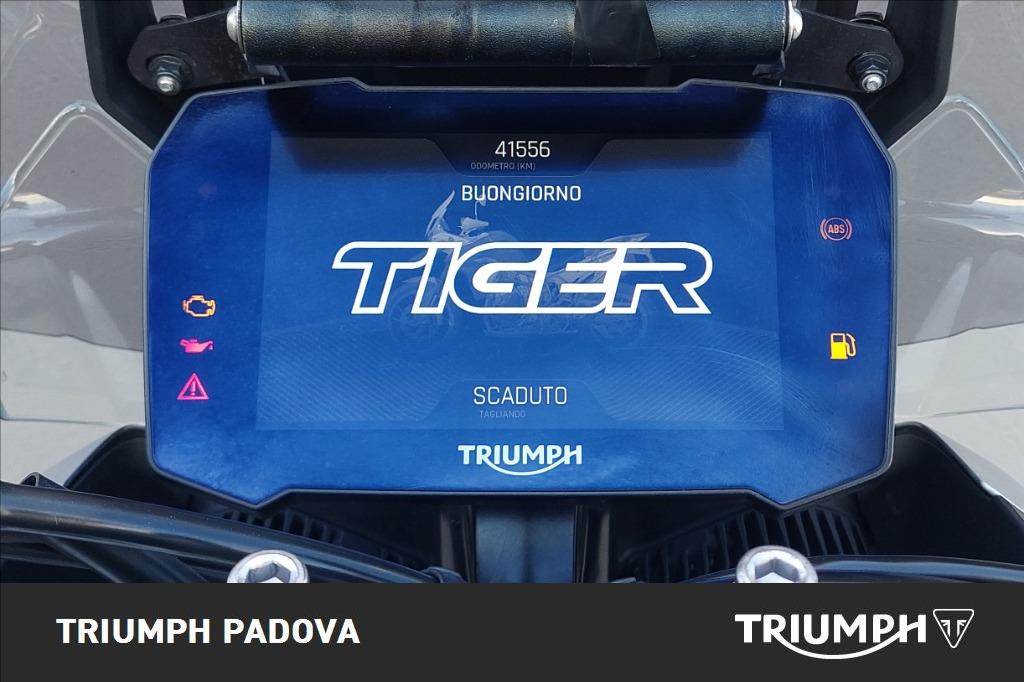 TRIUMPH Tiger 900 Rally Pro Abs