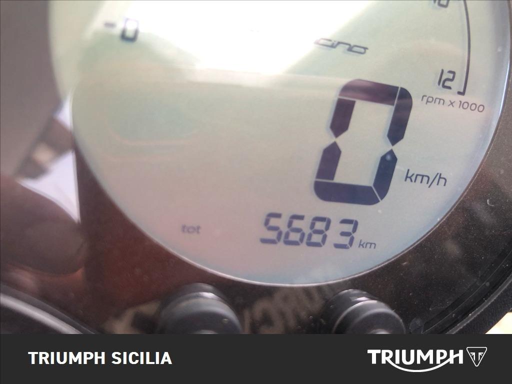 BENELLI Leoncino 500 E5