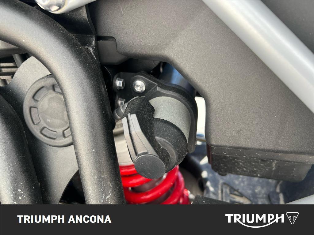 TRIUMPH Tiger 900 GT Pro Abs