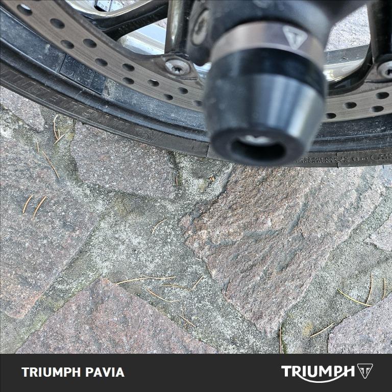 TRIUMPH Trident 660 Abs