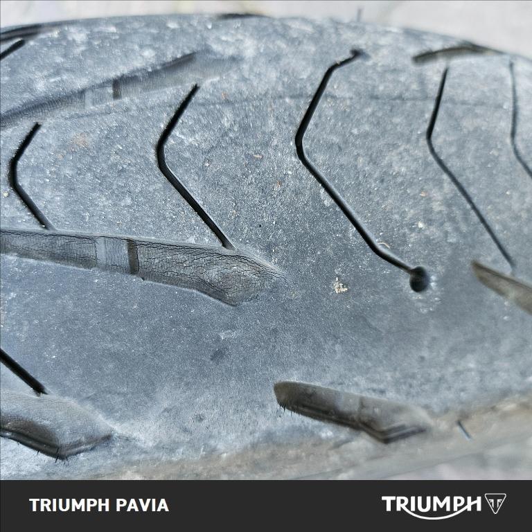 TRIUMPH Trident 660 Abs
