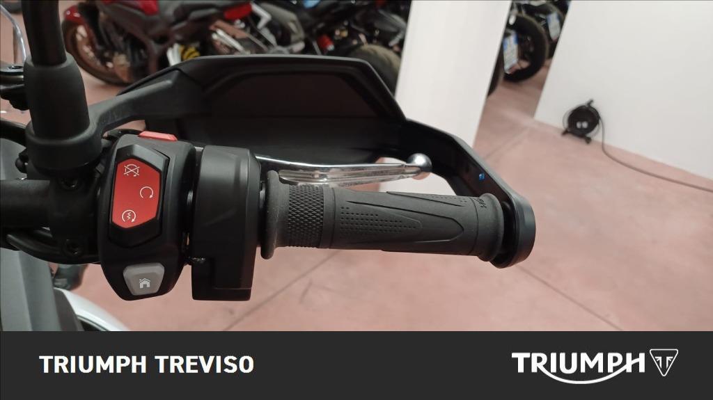 TRIUMPH Tiger 900 Rally Pro Abs