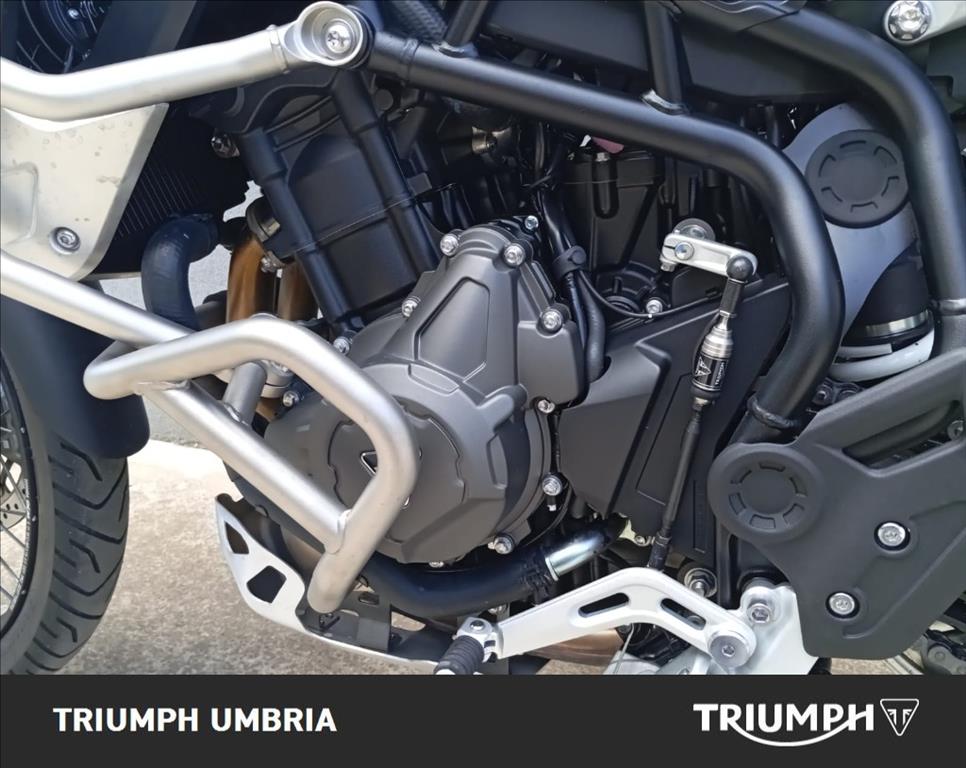 TRIUMPH Tiger 900 Rally Pro Abs