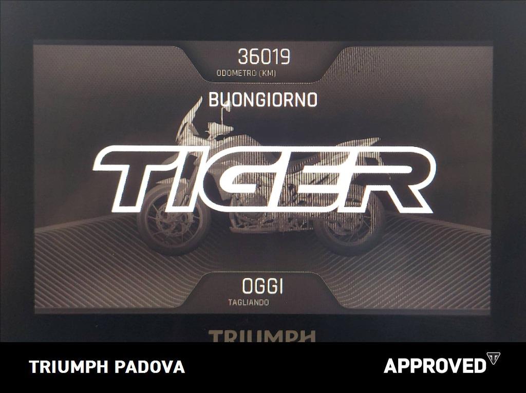 TRIUMPH Tiger 900 GT Pro Abs