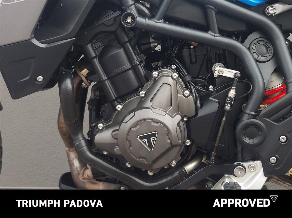 TRIUMPH Tiger 900 GT Pro Abs