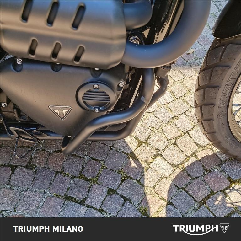 TRIUMPH Street Scrambler 900 