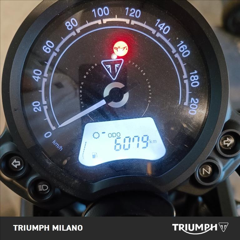 TRIUMPH Street Scrambler 900 