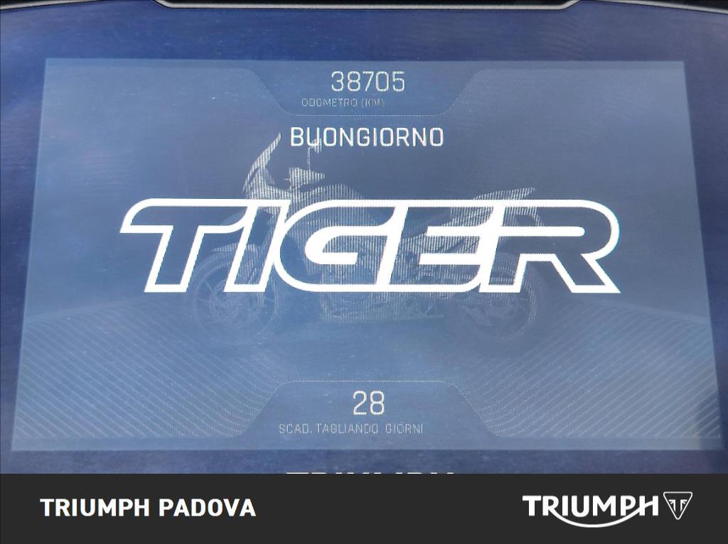 TRIUMPH Tiger 900 Rally Pro Abs