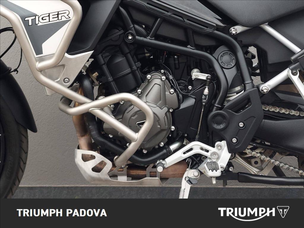 TRIUMPH Tiger 900 Rally Pro Abs