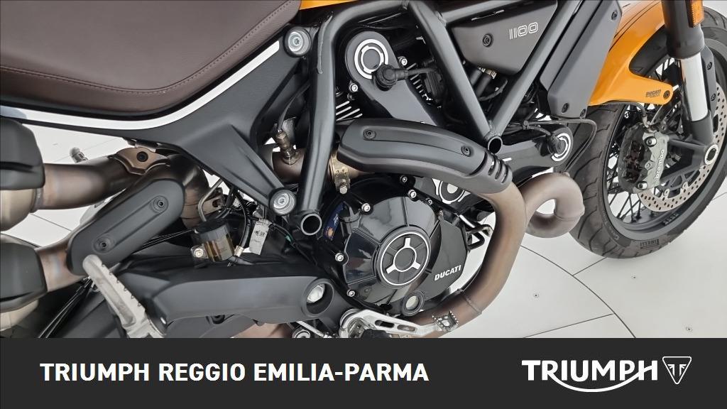 DUCATI Scrambler 1100 Tribute Pro
