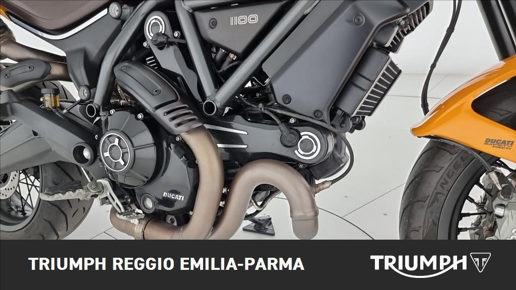 DUCATI Scrambler 1100 Tribute Pro