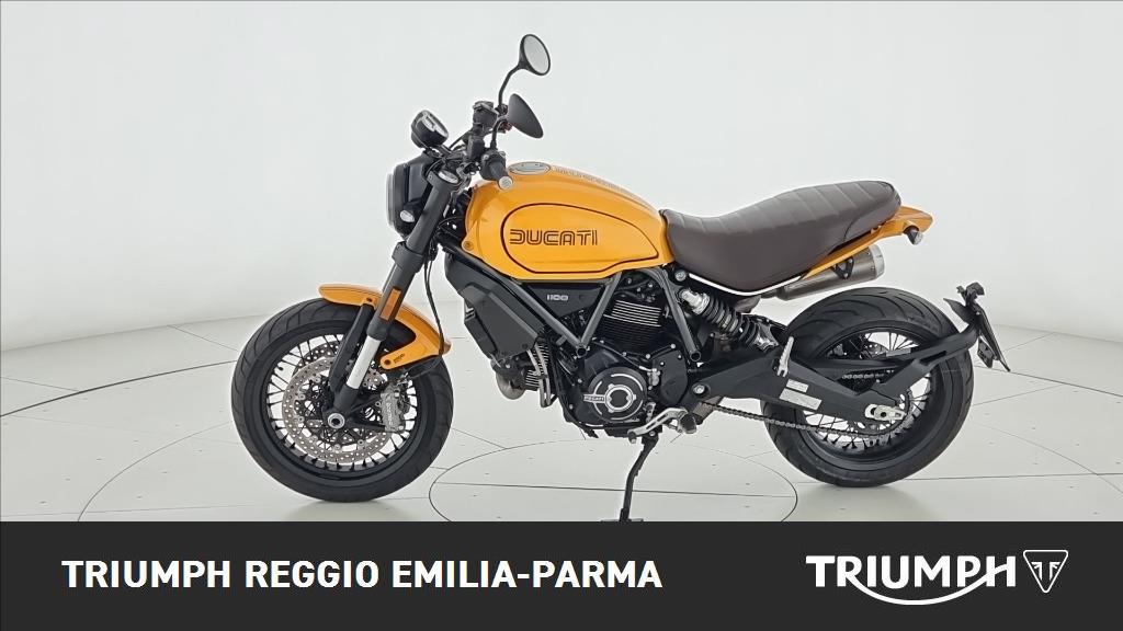 DUCATI Scrambler 1100 Tribute Pro