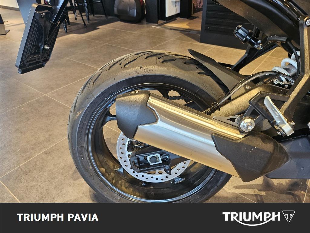 TRIUMPH Tiger 800 Sport Abs