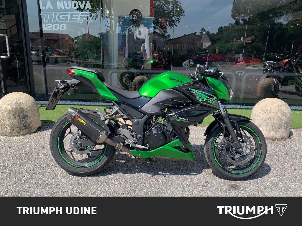 KAWASAKI Z 300 Performance Abs