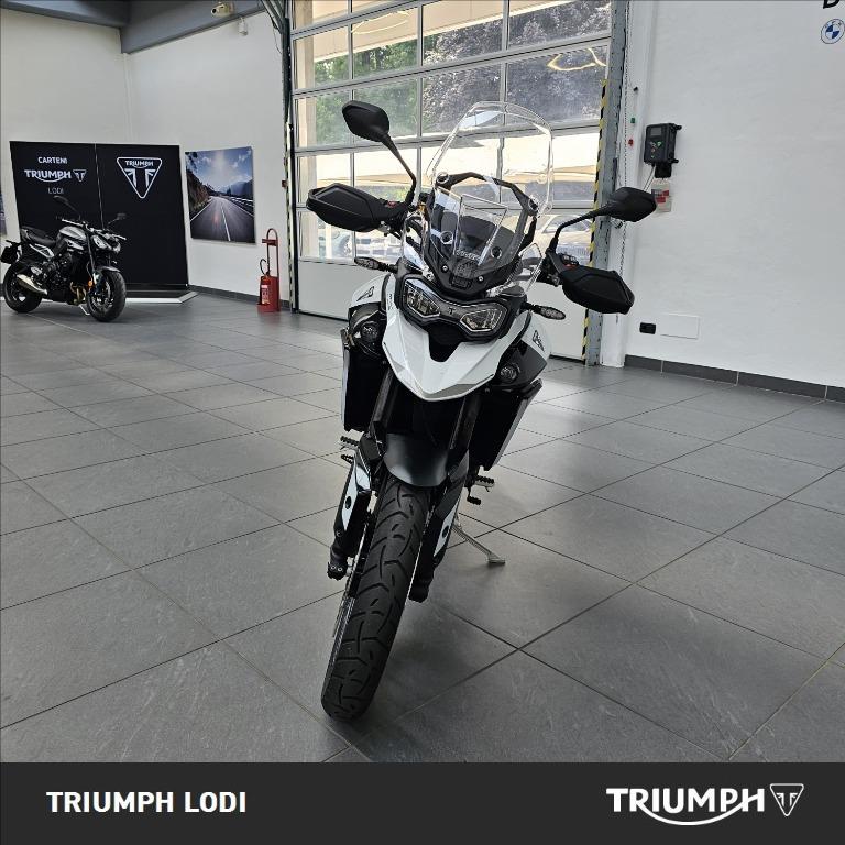 TRIUMPH Tiger 900 GT Pro Abs