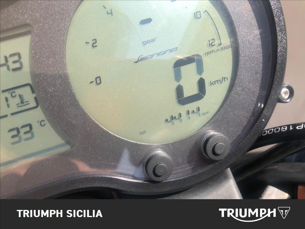 BENELLI Leoncino 500 E5