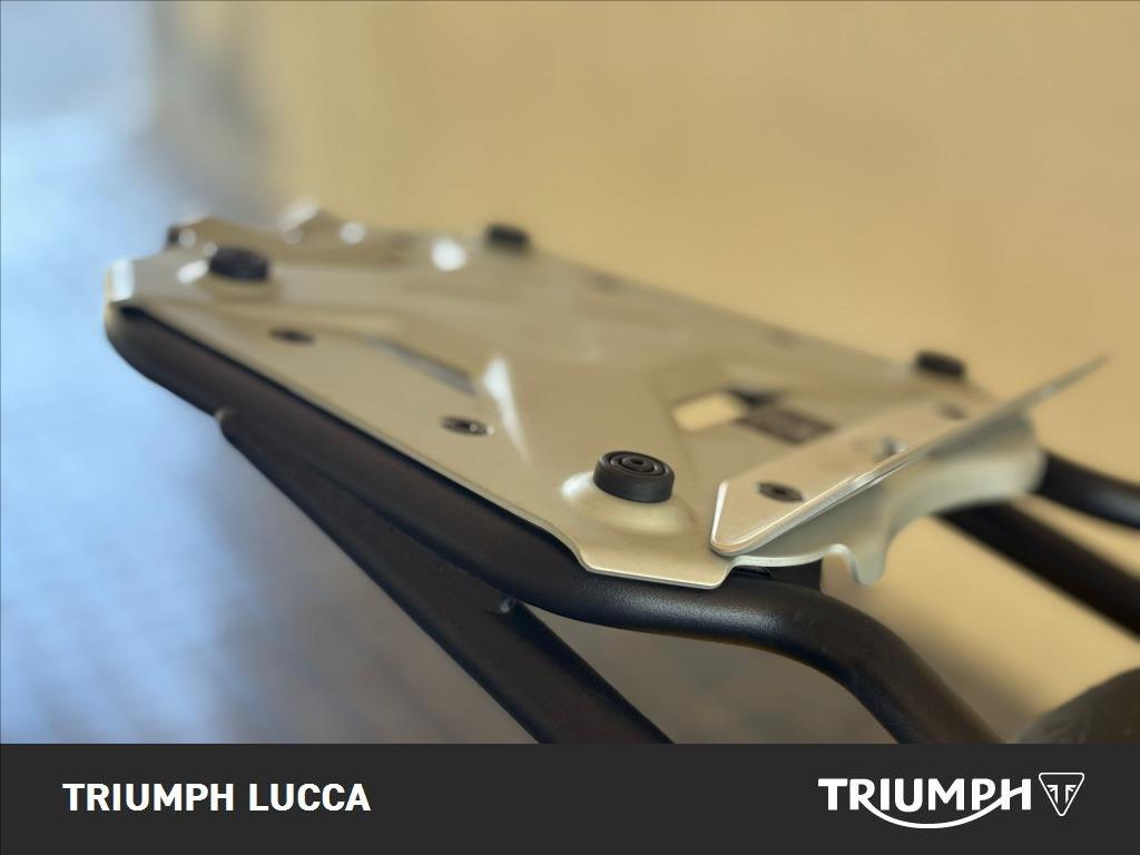 DUCATI Scrambler 800 Icon