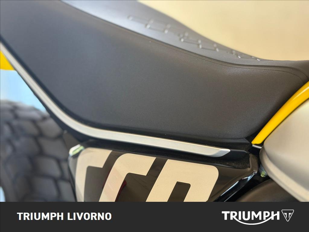 DUCATI Scrambler 800 Icon