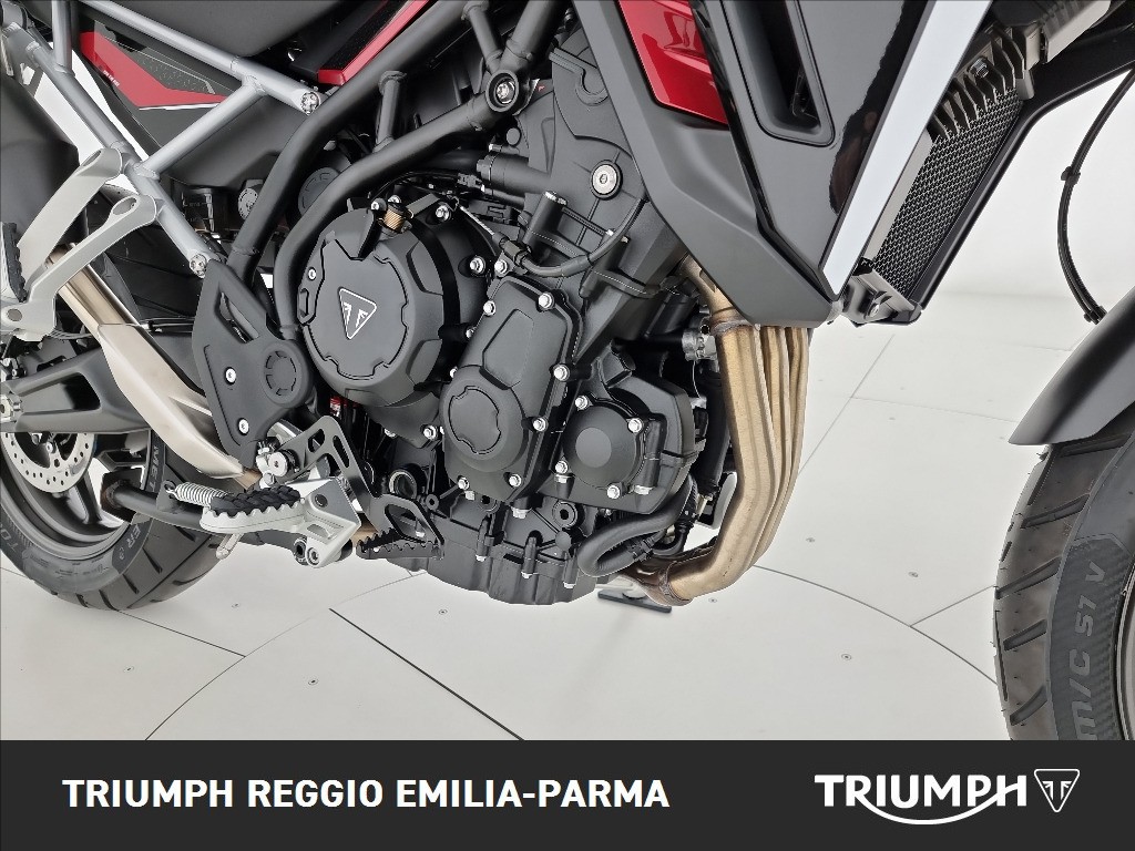 TRIUMPH Tiger 1200 GT Pro Abs