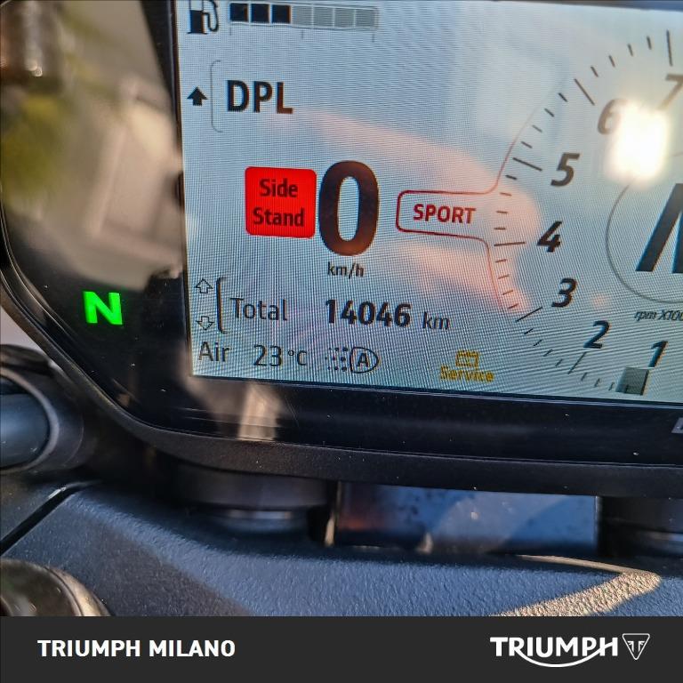 DUCATI Monster 937 plus Aviator Grey