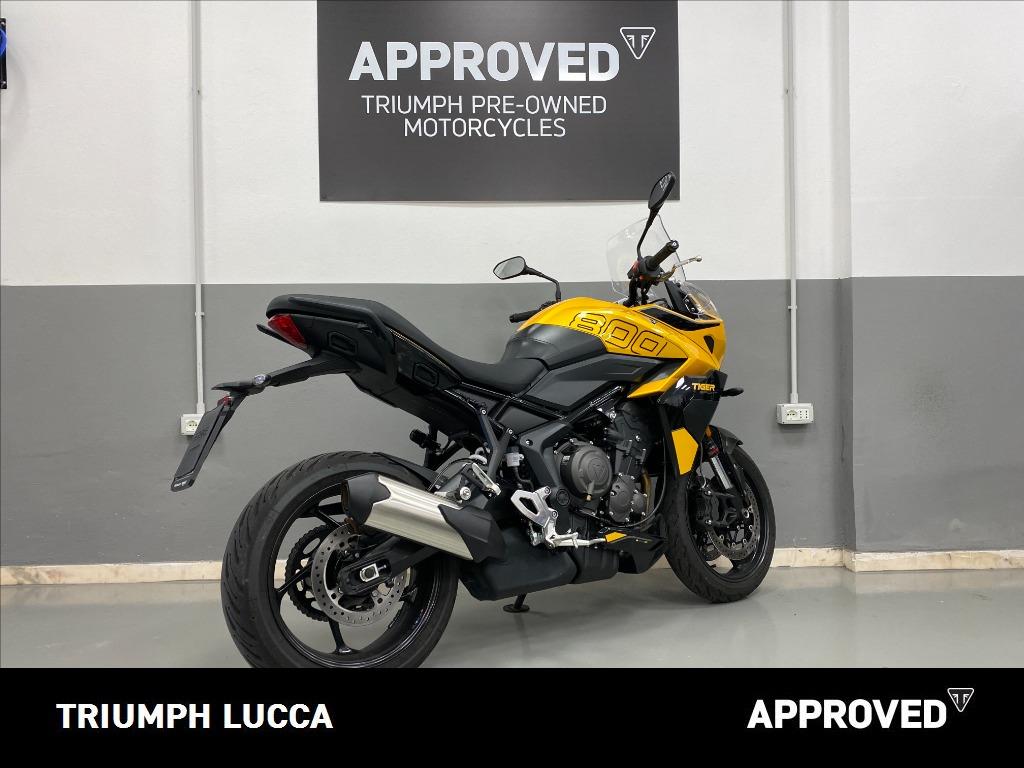TRIUMPH Tiger Sport 800 Abs
