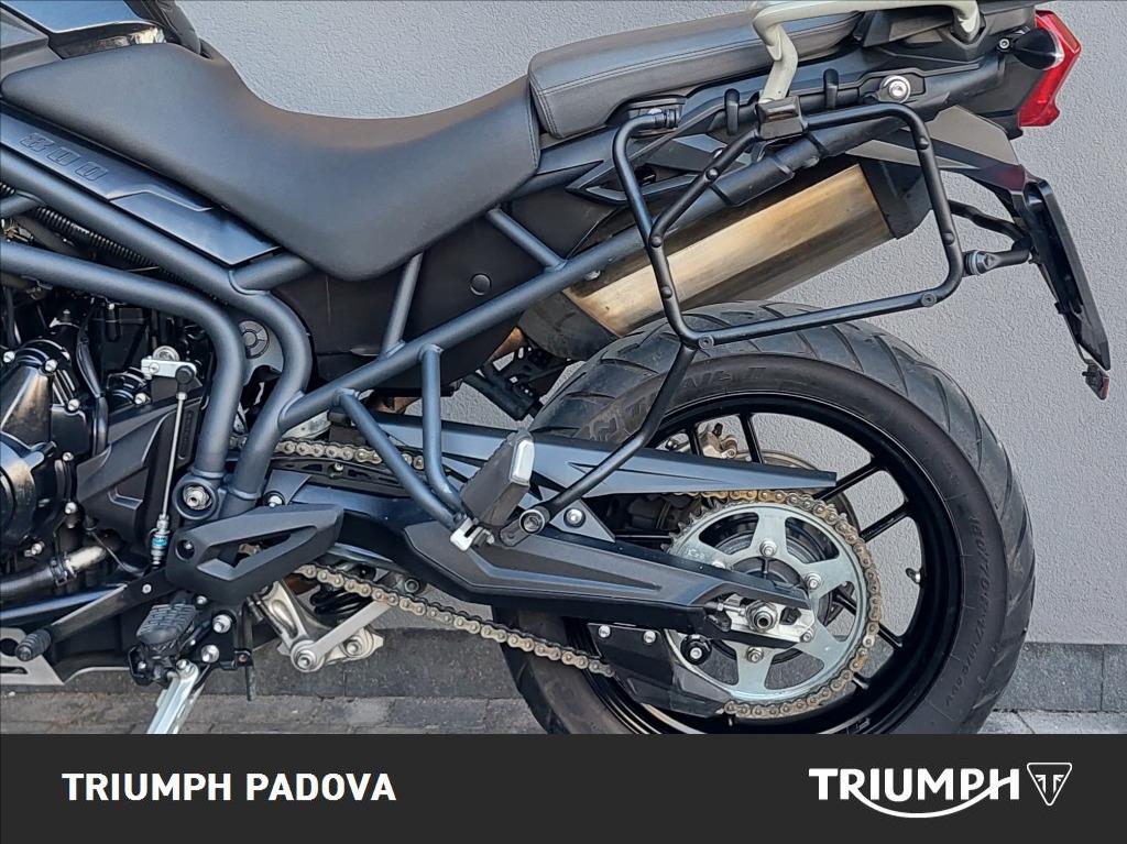 TRIUMPH Tiger 800 Abs