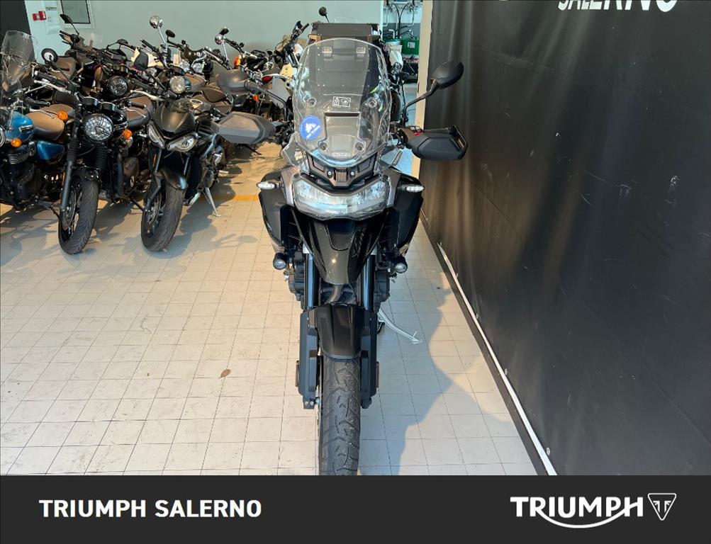 TRIUMPH Tiger 1200 GT Pro Abs