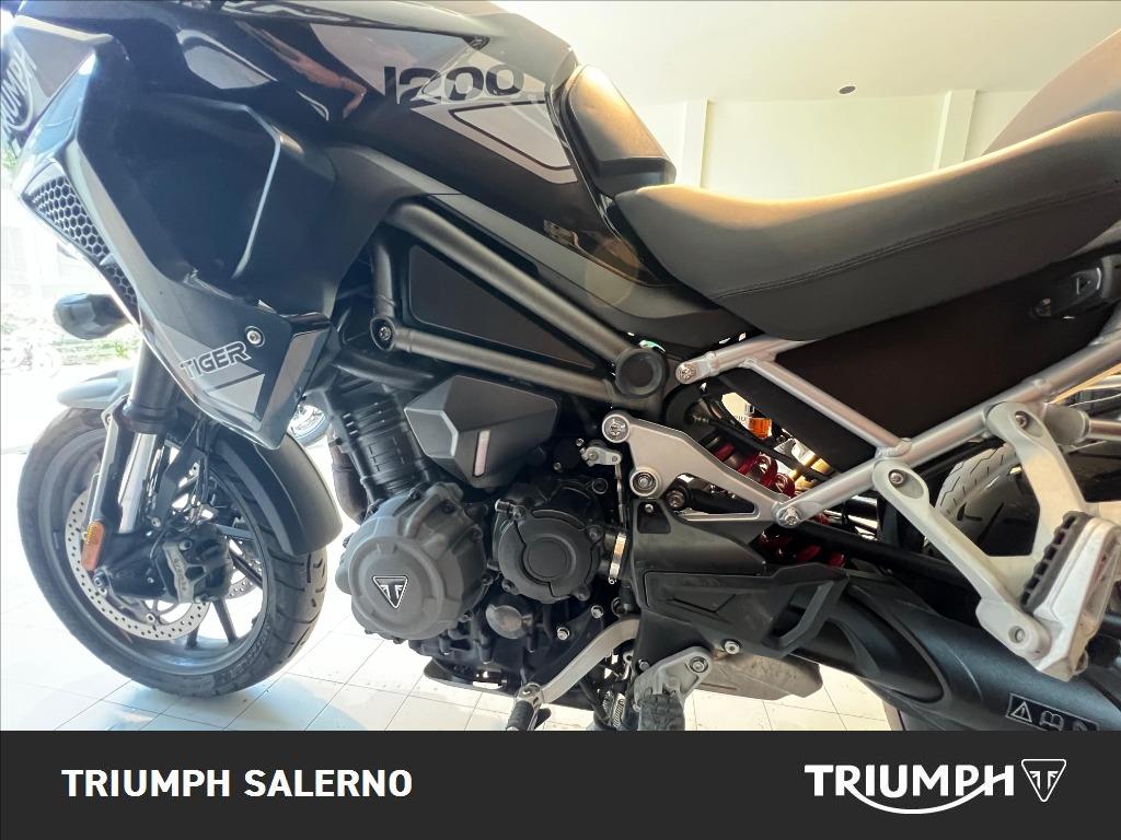 TRIUMPH Tiger 1200 GT Pro Abs