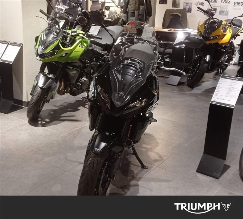 TRIUMPH Tiger Sport 660 Abs