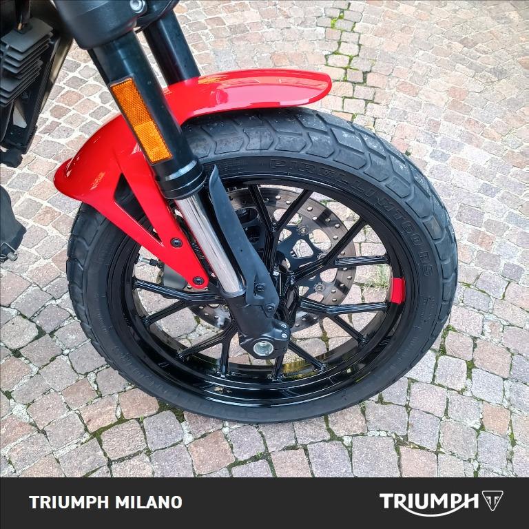 DUCATI Scrambler 800 Icon