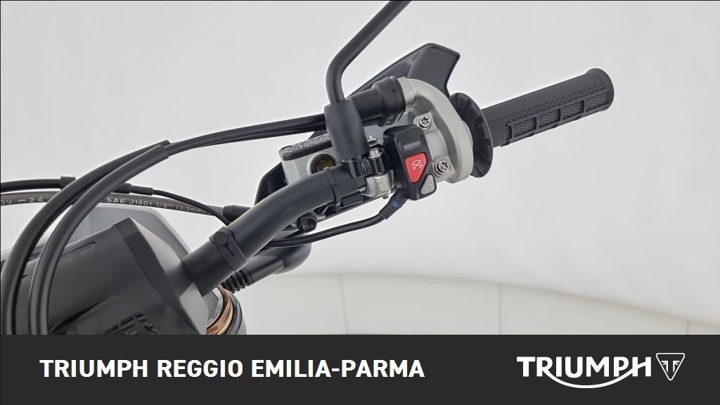 TRIUMPH TF 250 E Abs #8
