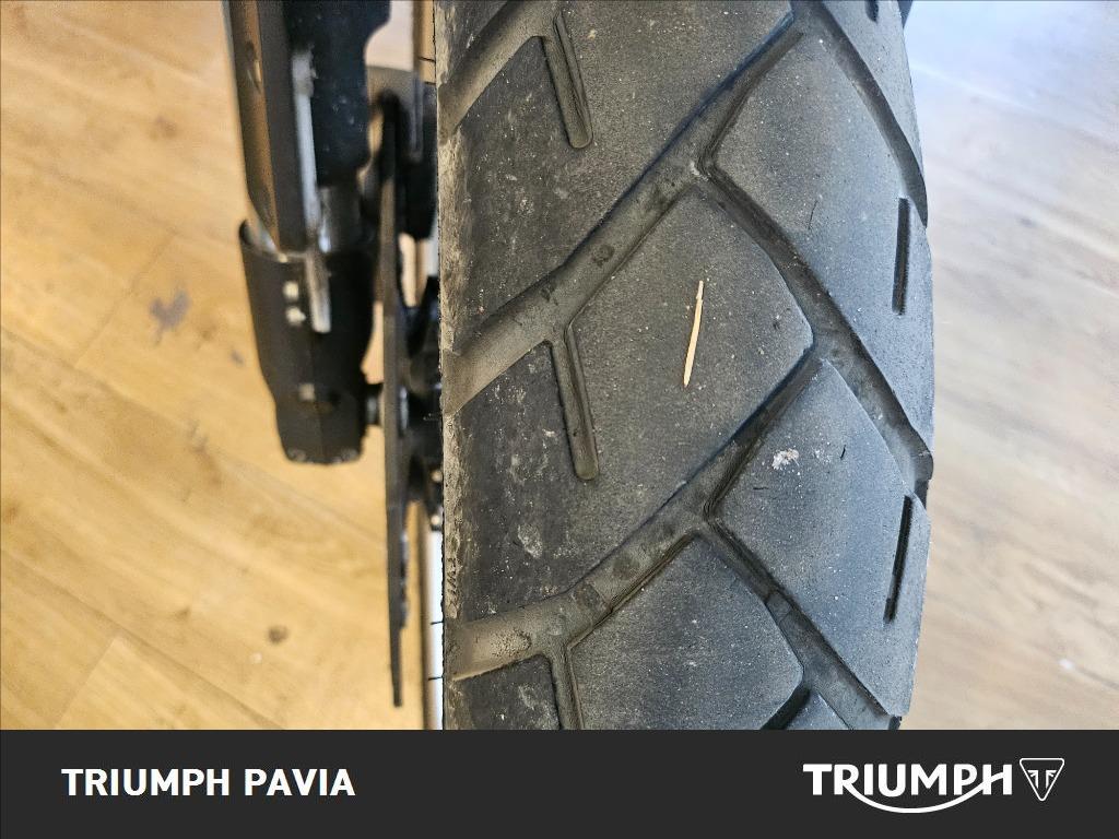 BENELLI Leoncino 500 Trail E5 #5