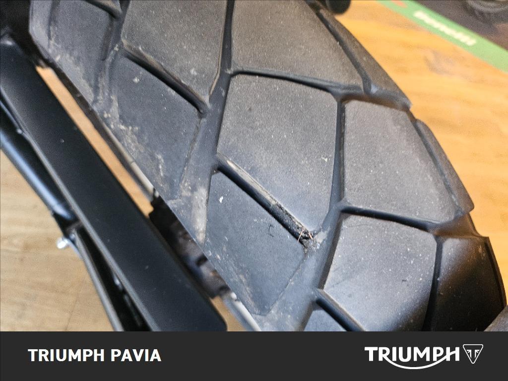 BENELLI Leoncino 500 Trail E5 #6