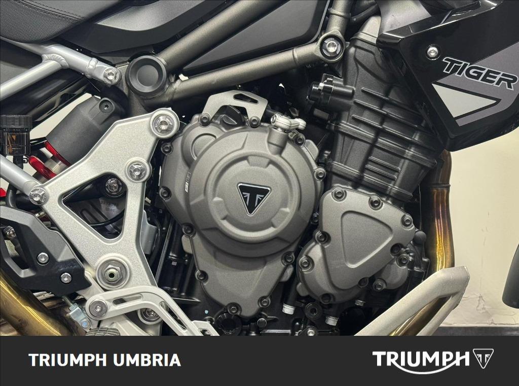 TRIUMPH Tiger 1200 GT Pro Abs