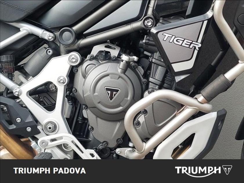 TRIUMPH Tiger 1200 Rally Explorer Abs