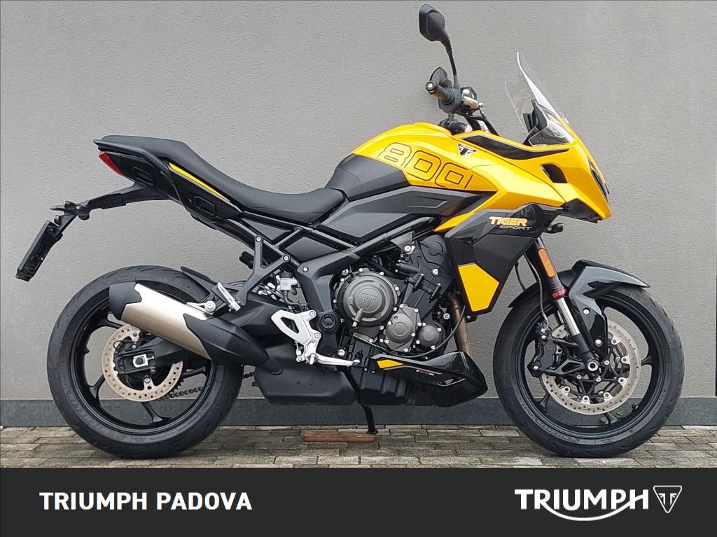 TRIUMPH Tiger Sport 800 Abs