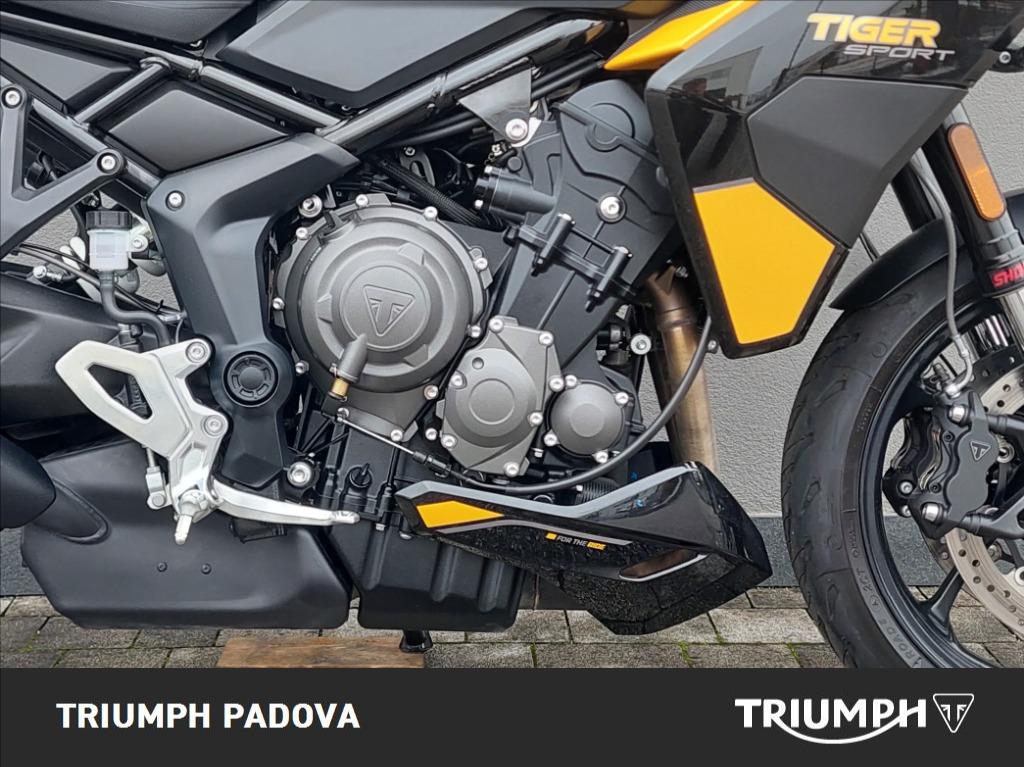 TRIUMPH Tiger Sport 800 Abs