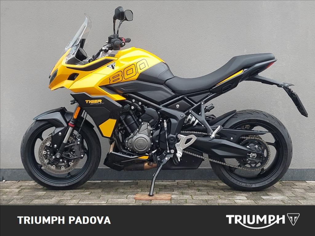 TRIUMPH Tiger Sport 800 Abs